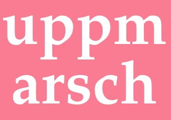 Synonym uppmarsch