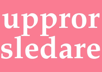 Synonym upprorsledare