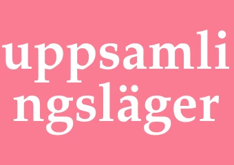 Synonym uppsamlingsläger