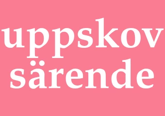 Synonym uppskovsärende