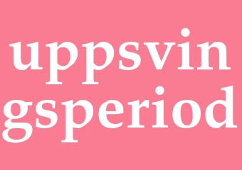 Synonym uppsvingsperiod