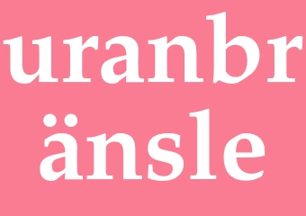 Synonym uranbränsle