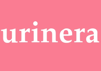 Synonym urinera
