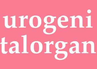 Synonym urogenitalorgan