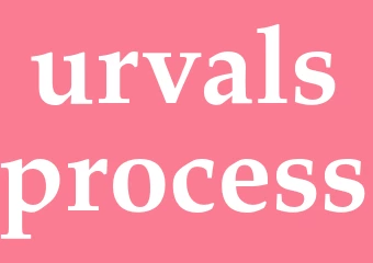 Synonym urvalsprocess