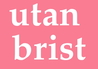 Synonym utan brist