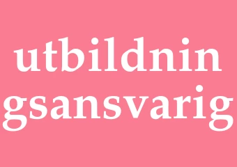 Synonym utbildningsansvarig