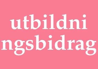 Synonym utbildningsbidrag