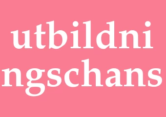 Synonym utbildningschans