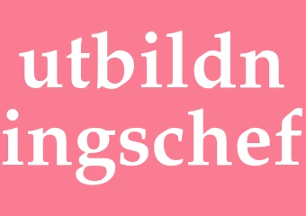 Synonym utbildningschef