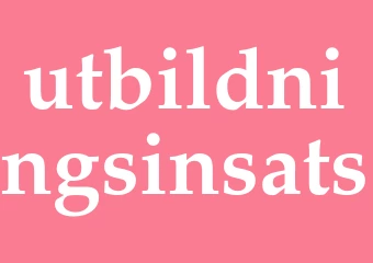 Synonym utbildningsinsats