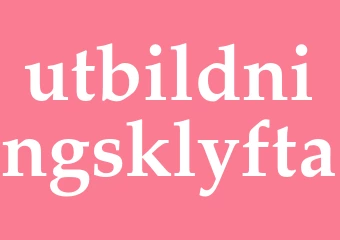 Synonym utbildningsklyfta