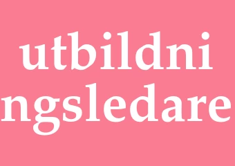 Synonym utbildningsledare