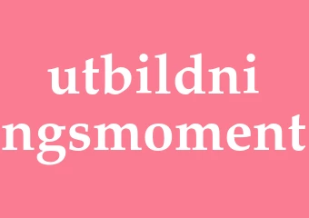 Synonym utbildningsmoment