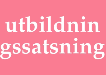 Synonym utbildningssatsning