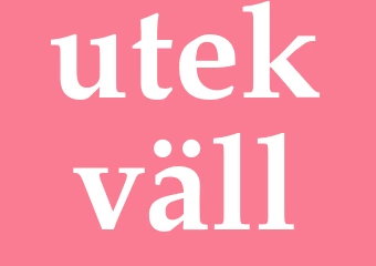 Synonym utekväll