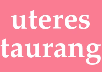 Synonym uterestaurang