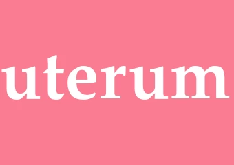 Synonym uterum