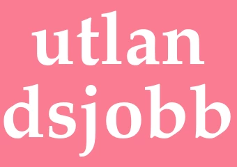Synonym utlandsjobb