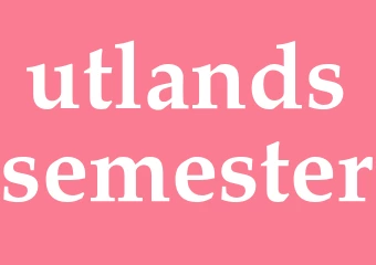 Synonym utlandssemester