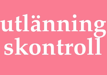 Synonym utlänningskontroll