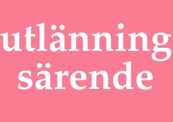 Synonym utlänningsärende