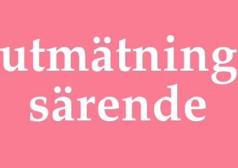 Synonym utmätningsärende
