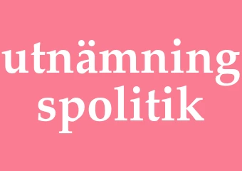 Synonym utnämningspolitik