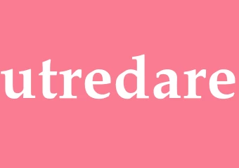Synonym utredare