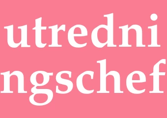 Synonym utredningschef