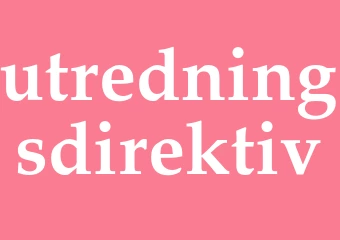 Synonym utredningsdirektiv