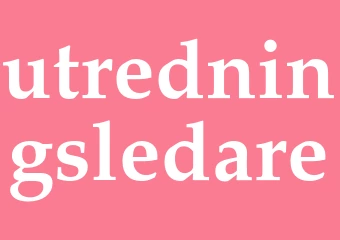 Synonym utredningsledare
