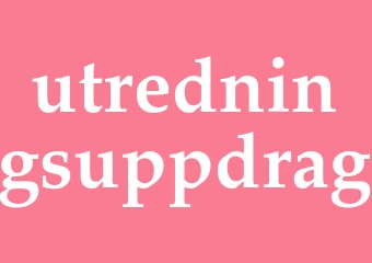 Synonym utredningsuppdrag