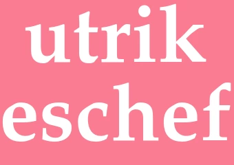 Synonym utrikeschef