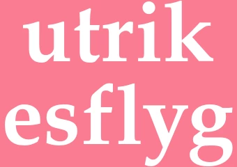 Synonym utrikesflyg