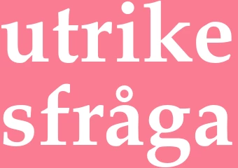 Synonym utrikesfråga