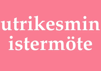 Synonym utrikesministermöte