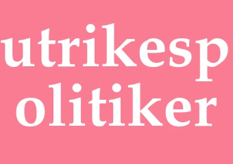 Synonym utrikespolitiker