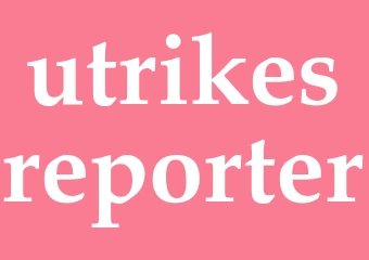 Synonym utrikesreporter
