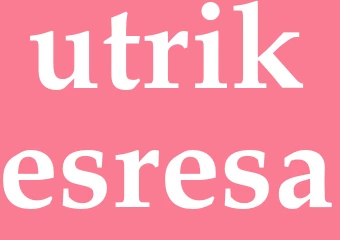 Synonym utrikesresa