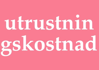 Synonym utrustningskostnad