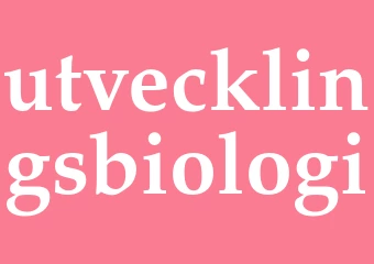 Synonym utvecklingsbiologi