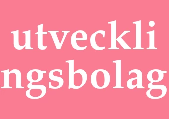 Synonym utvecklingsbolag
