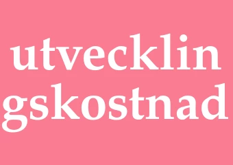 Synonym utvecklingskostnad