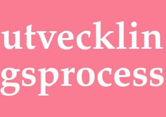 Synonym utvecklingsprocess