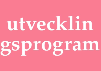 Synonym utvecklingsprogram