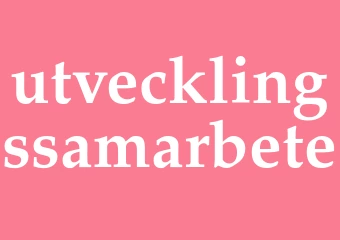 Synonym utvecklingssamarbete