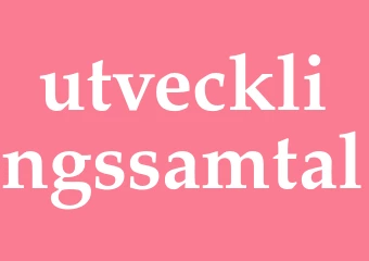 Synonym utvecklingssamtal