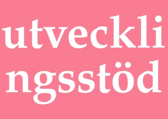 Synonym utvecklingsstöd
