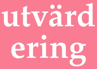 Synonym utvärdering